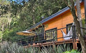 Vale dos Bugres Eco House- Cabana das Flores